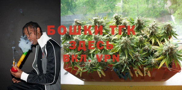 прущий лед Бикин