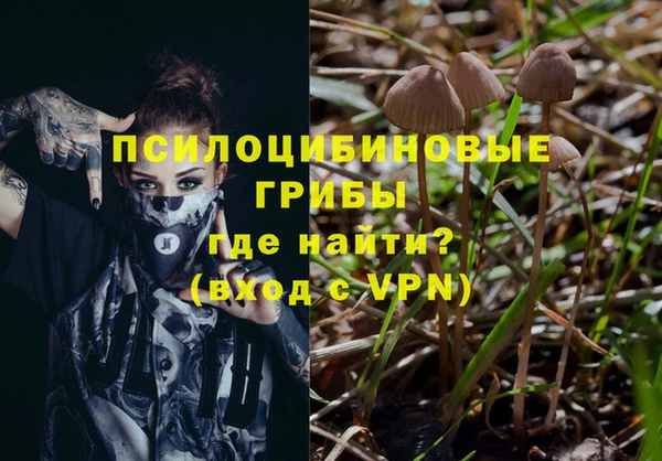 Альфа ПВП Нефтекумск